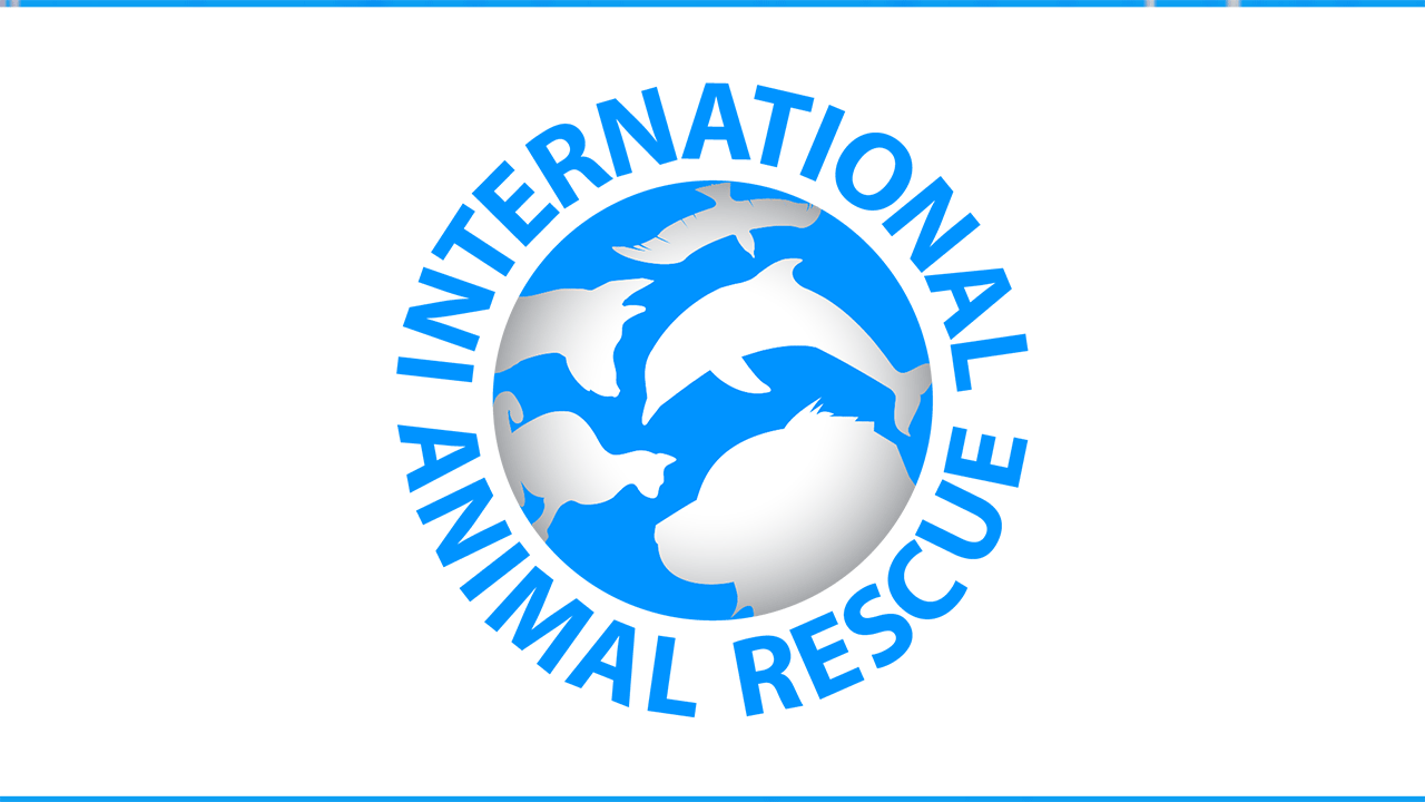 International Animal Rescue