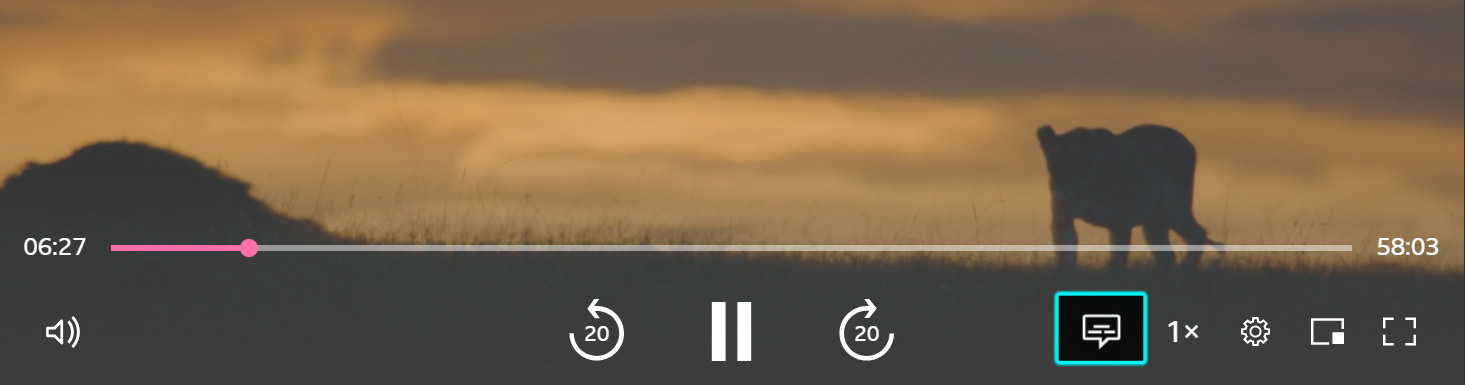 Image of the playback screen with the accessibility icon (speech bubble) highlighted