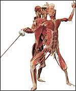 Body Worlds