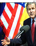 Bush