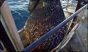 Fishing net
