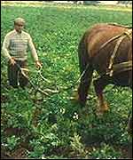 Russian farmer
