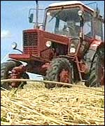 Tractor 