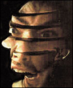 Genetic Evolution