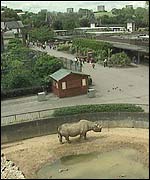 London Zoo
