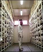 Tuzla morgue