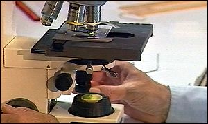 microscope