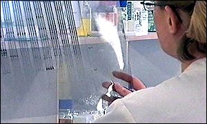 Genetic analysis 