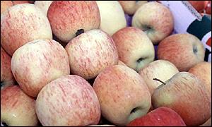 Apples