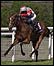 Jardines Lookout and Mick Kinane win the Goodwood Cup
