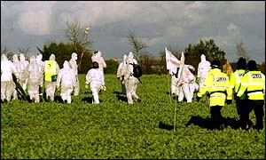 GM crop protesters