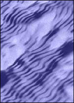 Radarsat image