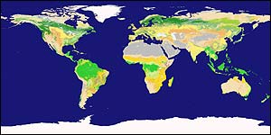 Nasa Terra satellite