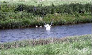 River Blackwater