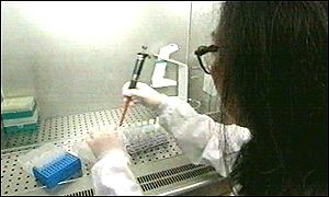 Lab worker