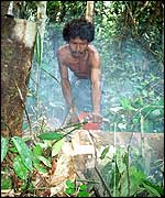 Indonesian logger