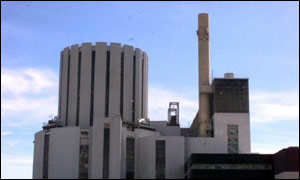 Dungeness plant