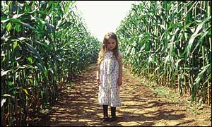 Scene from Signs