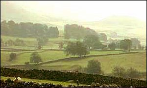 Rural scene