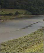 River Tamar