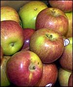 Apples 
