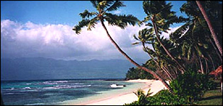 Tropical beach