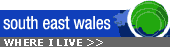 More from south east Wales 