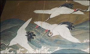 cranes