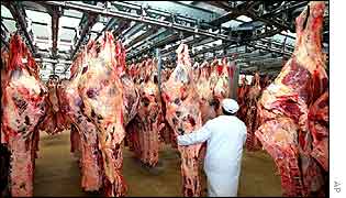Beef carcasses