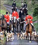 A hunt