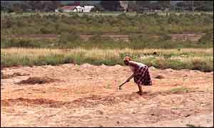 Mozambican farmer