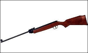 Air gun