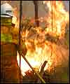 Fireman fights bushfire