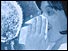 Graphic of woman sneezing with close up of virus 