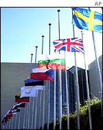 EU flags