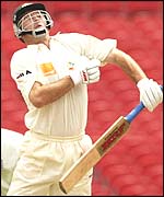 Steve Waugh