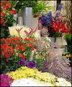 Riverside Flowers 