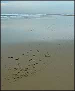 Landes beach