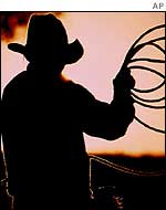 Cowboy