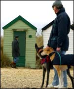 Southwold hut