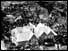 Aberfan engulfed by slag heap