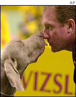 Dog show entrants 
