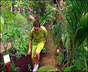 Eden Project