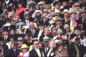 Top hats on display