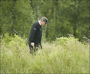 Darren Clarke looks for his ball in the rough