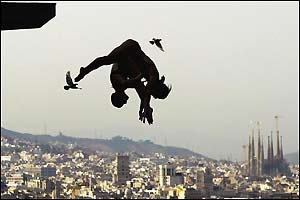 Divers practise for the 10th FINA Swimming World Championships 