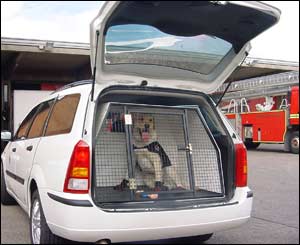 Fire dog