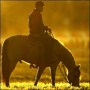 A man on a horse at Flemington racecourse
