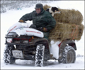 Brough farmer