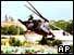 Black Hawk
